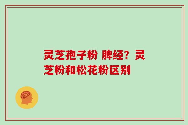 灵芝孢子粉 脾经?灵芝粉和松花粉区别 灵芝孢子粉 脾经?灵芝粉和松花粉区别