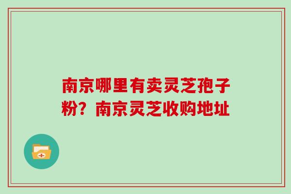 南京哪里有卖灵芝孢子粉？南京灵芝收购地址