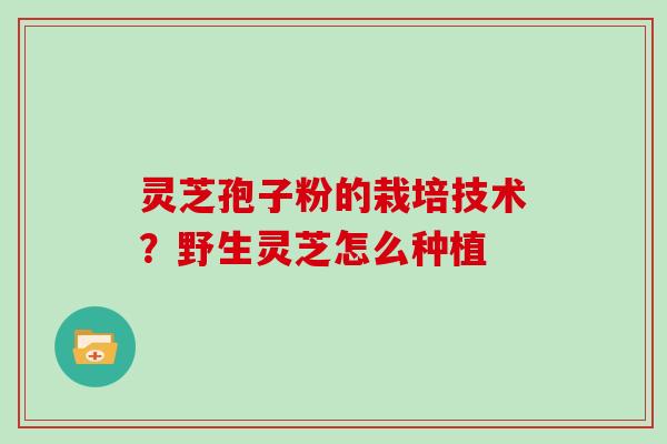 灵芝孢子粉的栽培技术？野生灵芝怎么种植