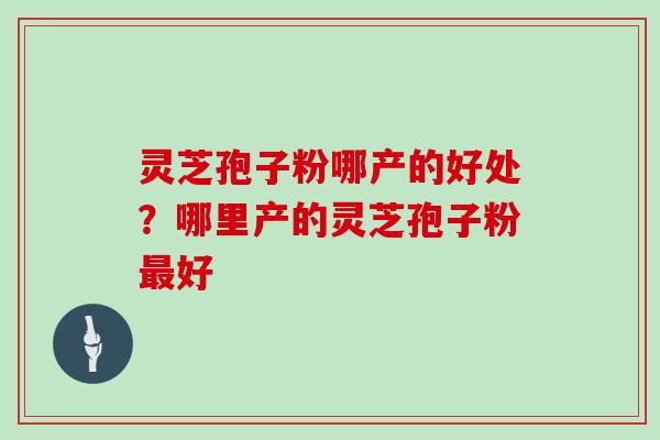 灵芝孢子粉哪产的好处？哪里产的灵芝孢子粉好