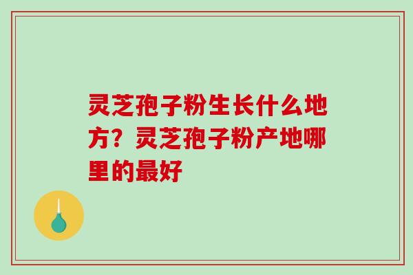 灵芝孢子粉生长什么地方？灵芝孢子粉产地哪里的好