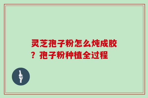 灵芝孢子粉怎么炖成胶?孢子粉种植全过程 灵芝孢子粉怎么炖成胶?孢子粉种植全过程