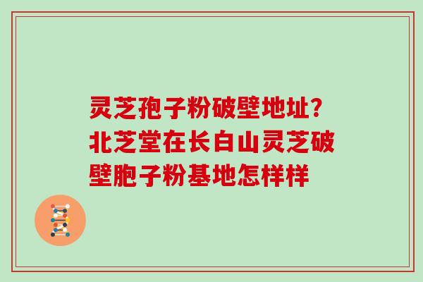 灵芝孢子粉破壁地址？北芝堂在长白山灵芝破壁胞子粉基地怎样样