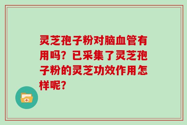 灵芝孢子粉对脑有用吗?已采集了灵芝孢子粉的灵芝功效作用怎样呢? 灵芝孢子粉对脑有用吗?已采集了灵芝孢子粉的灵芝功效作用怎样呢?