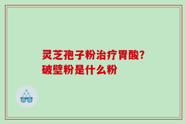 灵芝孢子粉胃酸？破壁粉是什么粉