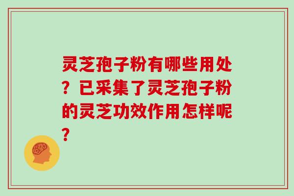 灵芝孢子粉有哪些用处?已采集了灵芝孢子粉的灵芝功效作用怎样呢? 灵芝孢子粉有哪些用处?已采集了灵芝孢子粉的灵芝功效作用怎样呢?