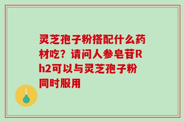 灵芝孢子粉搭配什么药材吃?请问人参皂苷Rh2可以与灵芝孢子粉同时服用 灵芝孢子粉搭配什么药材吃?请问人参皂苷Rh2可以与灵芝孢子粉同时服用