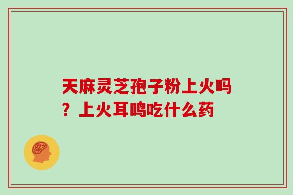 天麻灵芝孢子粉上火吗？上火耳鸣吃什么药