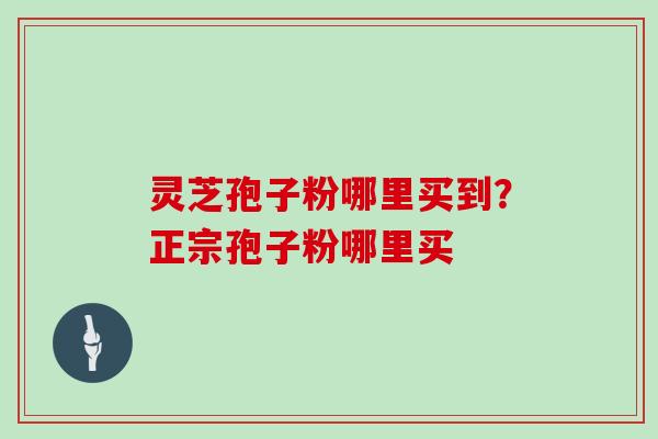 灵芝孢子粉哪里买到？正宗孢子粉哪里买