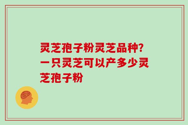 灵芝孢子粉灵芝品种?一只灵芝可以产多少灵芝孢子粉 灵芝孢子粉灵芝品种?一只灵芝可以产多少灵芝孢子粉