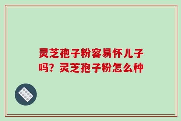 灵芝孢子粉容易怀儿子吗?灵芝孢子粉怎么种 灵芝孢子粉容易怀儿子吗?灵芝孢子粉怎么种