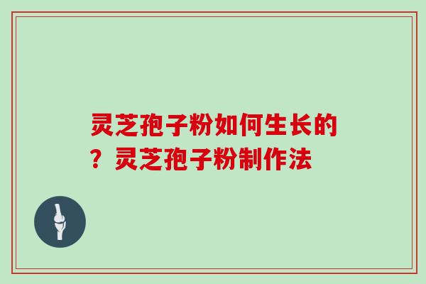 灵芝孢子粉如何生长的？灵芝孢子粉制作法