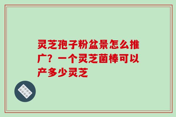 灵芝孢子粉盆景怎么推广?一个灵芝菌棒可以产多少灵芝 灵芝孢子粉盆景怎么推广?一个灵芝菌棒可以产多少灵芝