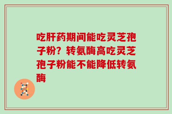 吃药期间能吃灵芝孢子粉?转氨酶高吃灵芝孢子粉能不能降低转氨酶 吃药期间能吃灵芝孢子粉?转氨酶高吃灵芝孢子粉能不能降低转氨酶