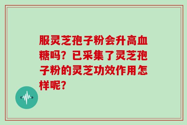 服灵芝孢子粉会升高吗？已采集了灵芝孢子粉的灵芝功效作用怎样呢？