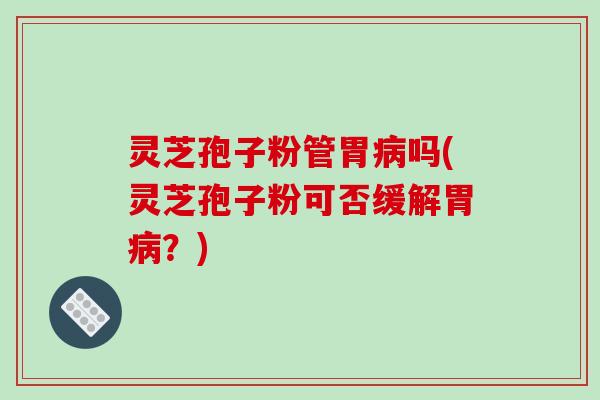 灵芝孢子粉管胃吗(灵芝孢子粉可否缓解胃？)