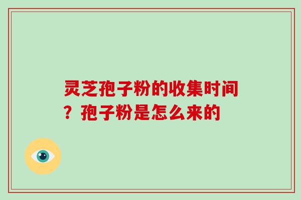 灵芝孢子粉的收集时间？孢子粉是怎么来的