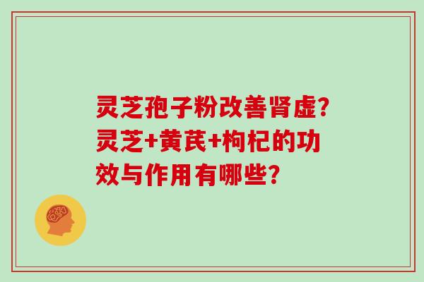 灵芝孢子粉改善虚？灵芝+黄芪+枸杞的功效与作用有哪些？