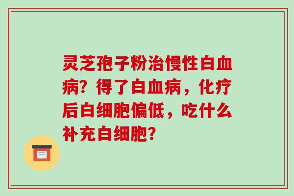 灵芝孢子粉慢性白？得了白，后偏低，吃什么补充？