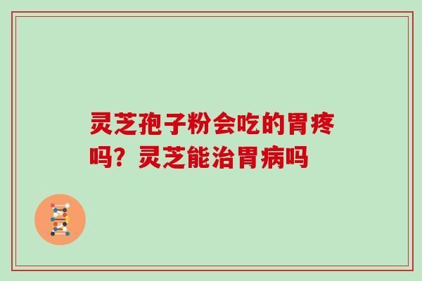 灵芝孢子粉会吃的胃疼吗？灵芝能胃吗