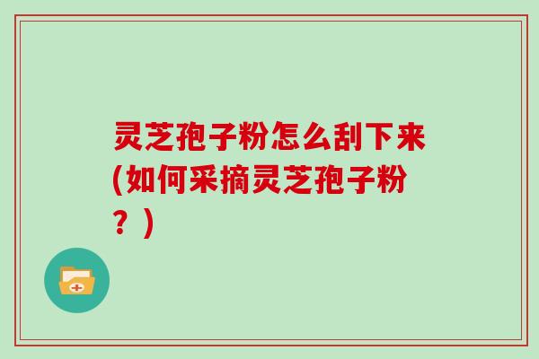 灵芝孢子粉怎么刮下来(如何采摘灵芝孢子粉？)