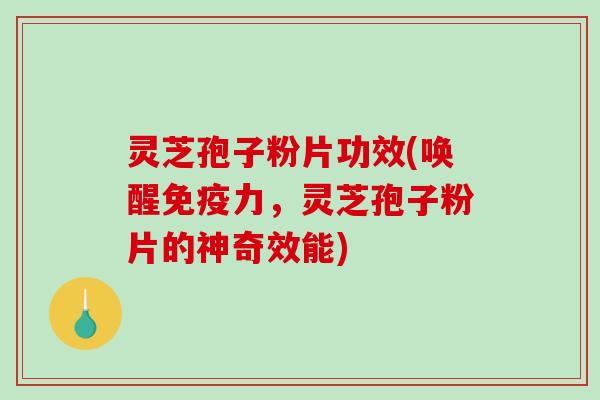 灵芝孢子粉片功效(唤醒免疫力，灵芝孢子粉片的神奇效能)