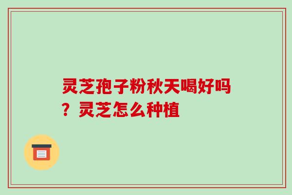 灵芝孢子粉秋天喝好吗？灵芝怎么种植