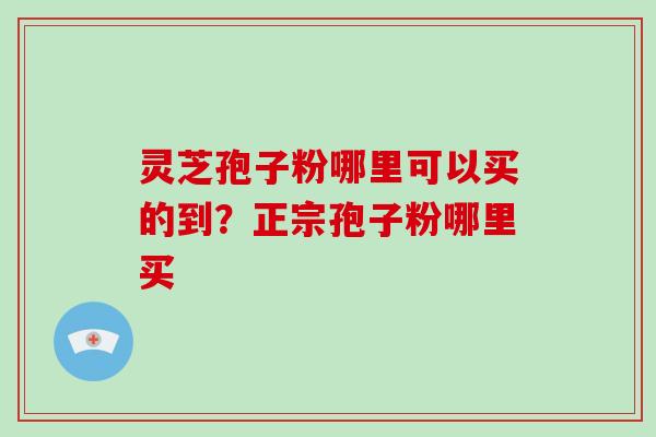 灵芝孢子粉哪里可以买的到？正宗孢子粉哪里买