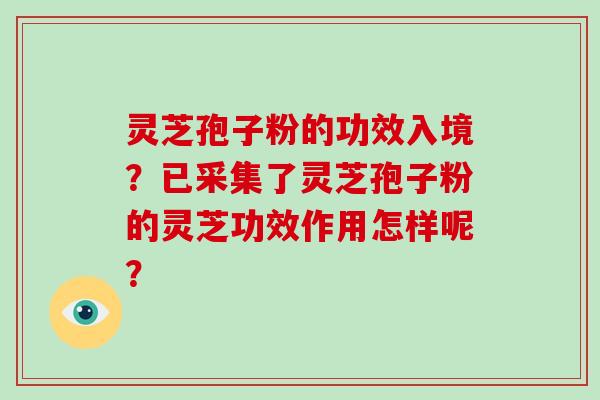 灵芝孢子粉的功效入境？已采集了灵芝孢子粉的灵芝功效作用怎样呢？