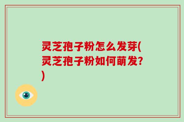 灵芝孢子粉怎么发芽(灵芝孢子粉如何萌发？)