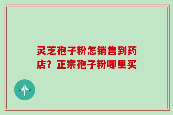 灵芝孢子粉怎销售到药店？正宗孢子粉哪里买