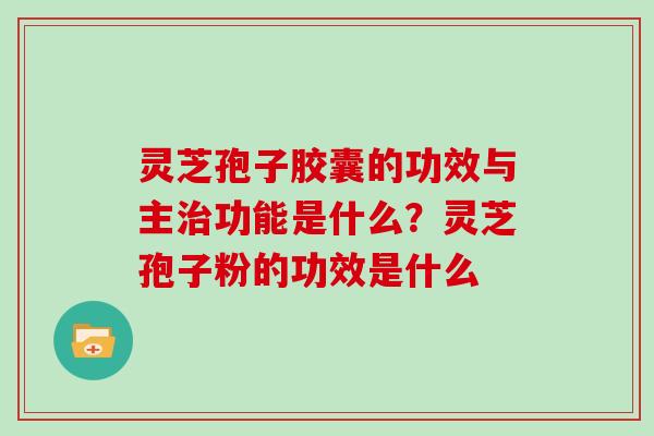 灵芝孢子胶囊的功效与主功能是什么？灵芝孢子粉的功效是什么