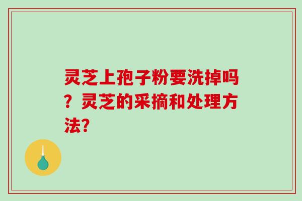 灵芝上孢子粉要洗掉吗？灵芝的采摘和处理方法？