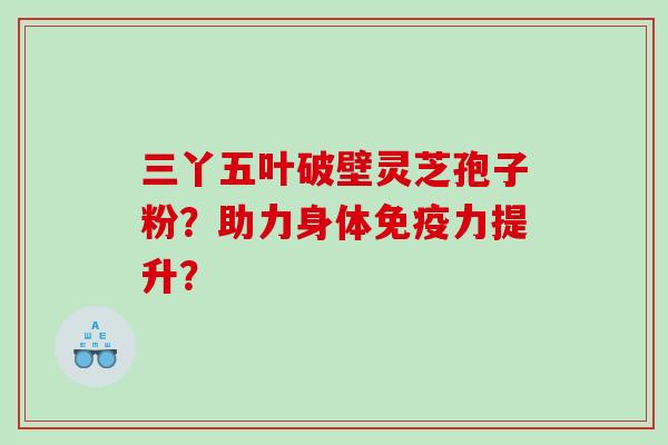 三丫五叶破壁灵芝孢子粉？助力身体免疫力提升？