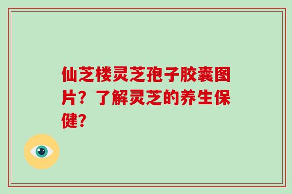 仙芝楼灵芝孢子胶囊图片？了解灵芝的养生保健？