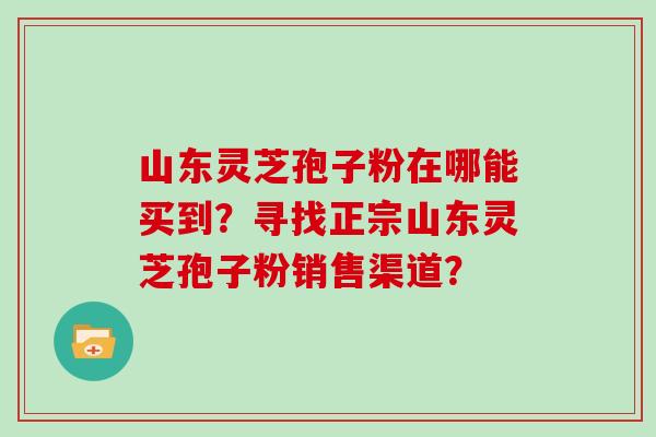 山东灵芝孢子粉在哪能买到？寻找正宗山东灵芝孢子粉销售渠道？