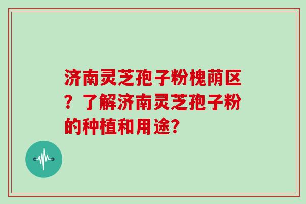 济南灵芝孢子粉槐荫区？了解济南灵芝孢子粉的种植和用途？