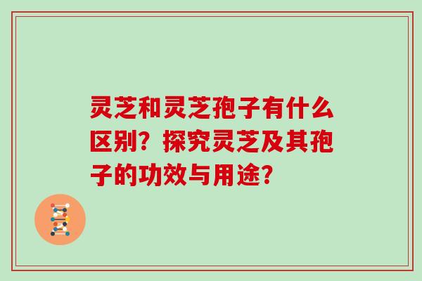 灵芝和灵芝孢子有什么区别？探究灵芝及其孢子的功效与用途？