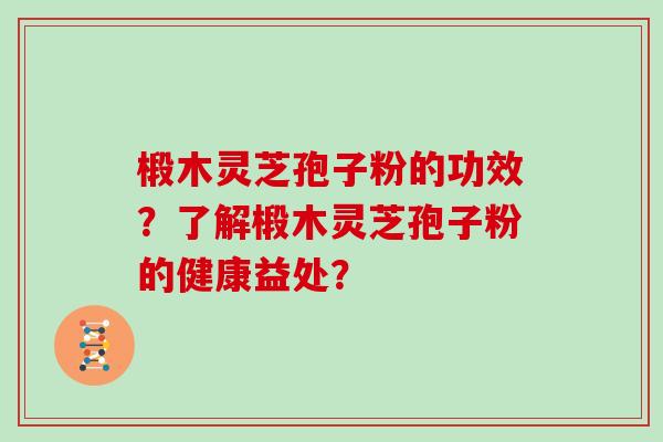 椴木灵芝孢子粉的功效？了解椴木灵芝孢子粉的健康益处？