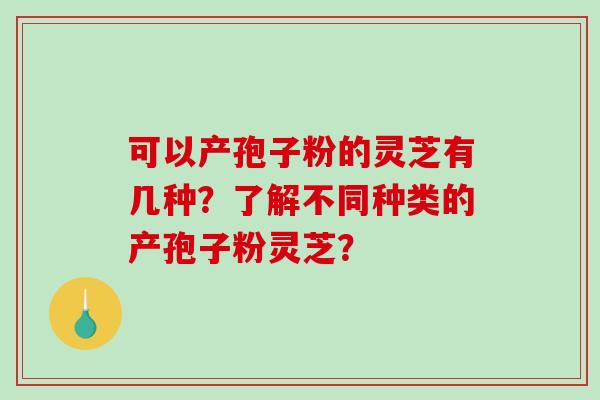 可以产孢子粉的灵芝有几种？了解不同种类的产孢子粉灵芝？