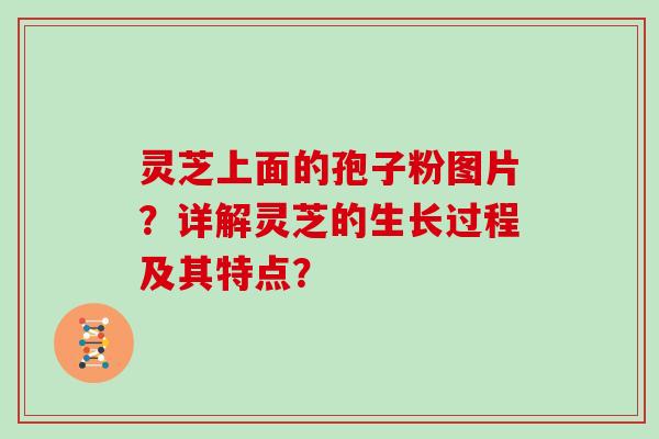 灵芝上面的孢子粉图片？详解灵芝的生长过程及其特点？