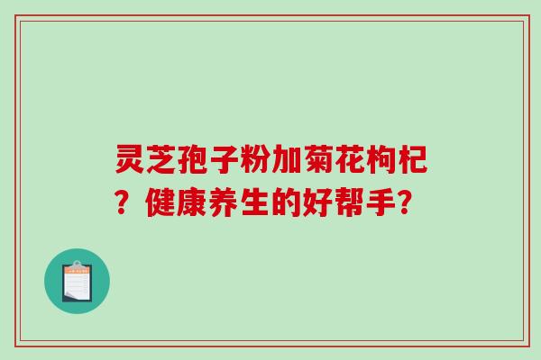 灵芝孢子粉加菊花枸杞？健康养生的好帮手？