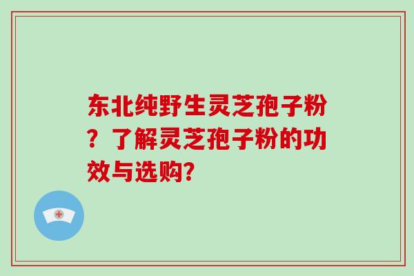 东北纯野生灵芝孢子粉？了解灵芝孢子粉的功效与选购？
