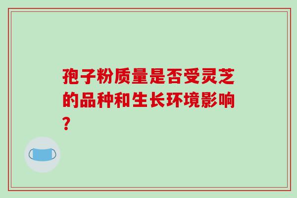 孢子粉质量是否受灵芝的品种和生长环境影响？