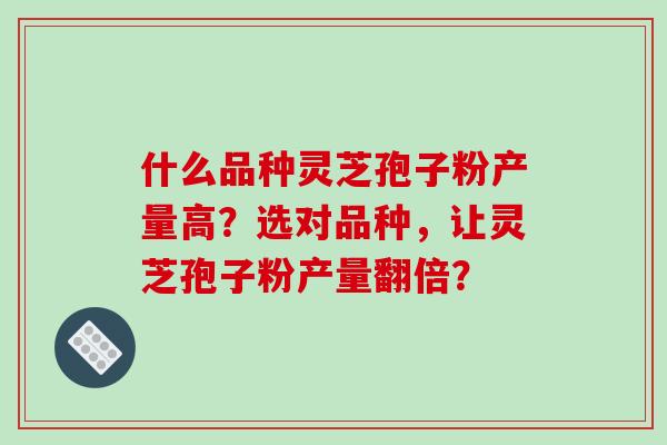 什么品种灵芝孢子粉产量高？选对品种，让灵芝孢子粉产量翻倍？