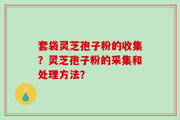 套袋灵芝孢子粉的收集？灵芝孢子粉的采集和处理方法？