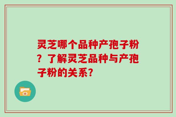 灵芝哪个品种产孢子粉?了解灵芝品种与产孢子粉的关系? 灵芝哪个品种产孢子粉?了解灵芝品种与产孢子粉的关系?