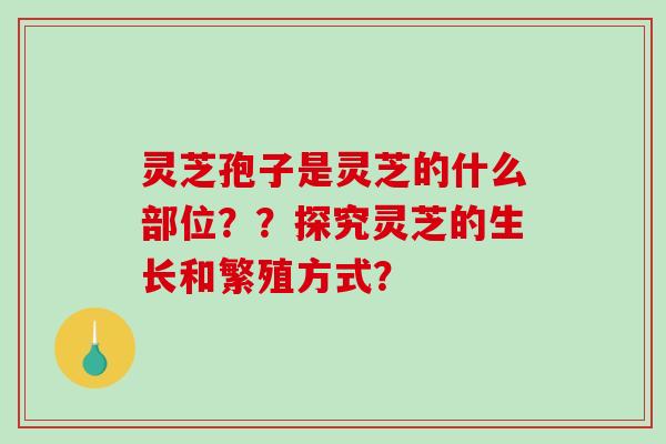 灵芝孢子是灵芝的什么部位??探究灵芝的生长和繁殖方式? 灵芝孢子是灵芝的什么部位??探究灵芝的生长和繁殖方式?