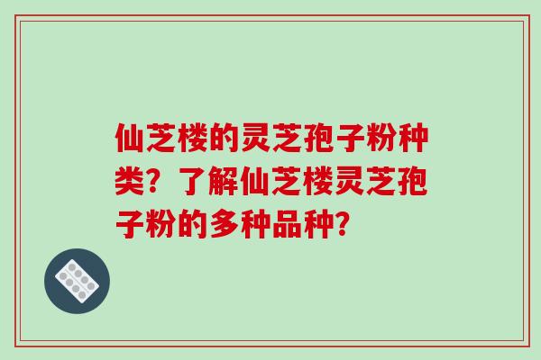仙芝楼的灵芝孢子粉种类？了解仙芝楼灵芝孢子粉的多种品种？