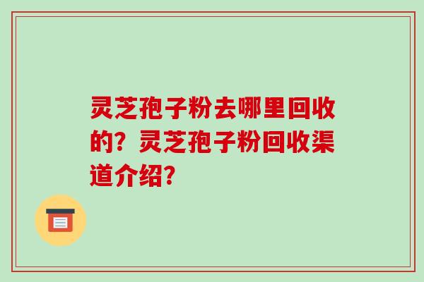 灵芝孢子粉去哪里回收的？灵芝孢子粉回收渠道介绍？